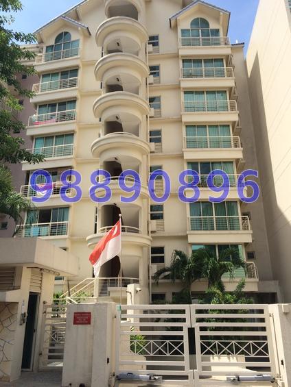 Wilkie Regency (D9), Apartment #72862701